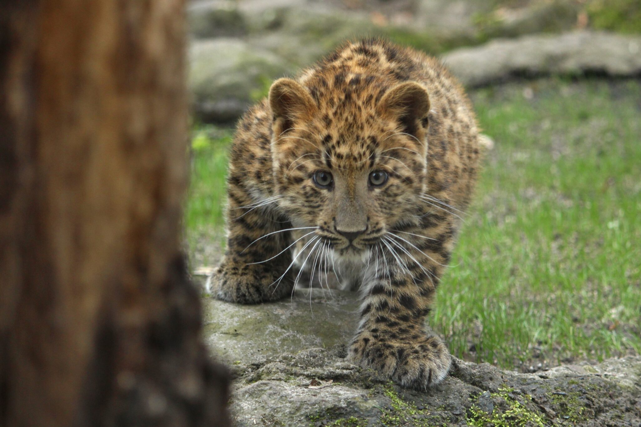 Zoo Eberswalde Tourismus Eberswalde
