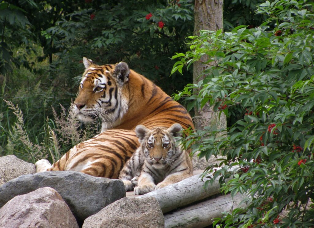 Zoo Eberswalde Tourismus Eberswalde