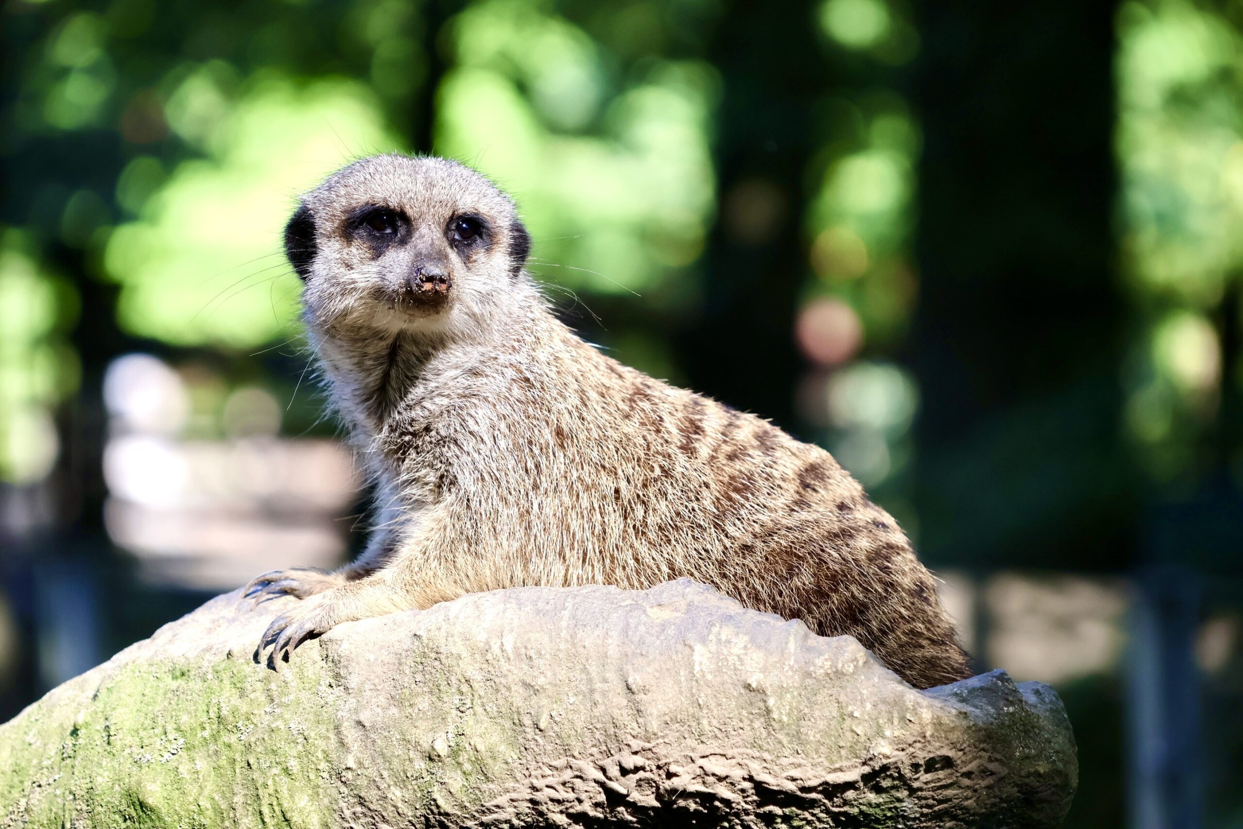 Zoo Eberswalde Tourismus Eberswalde