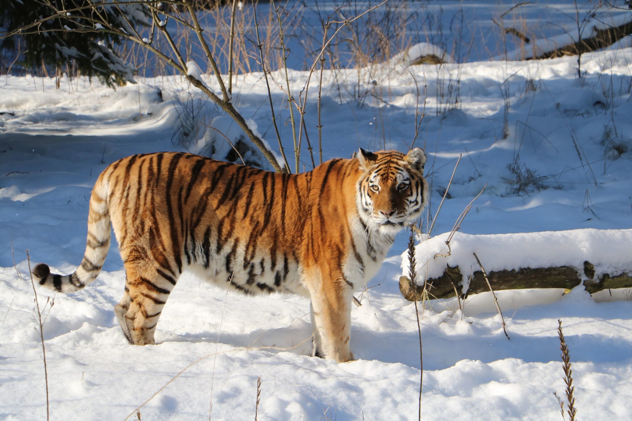 58+ Zoologischer Garten Eberswalde, Die wohl aufregendste