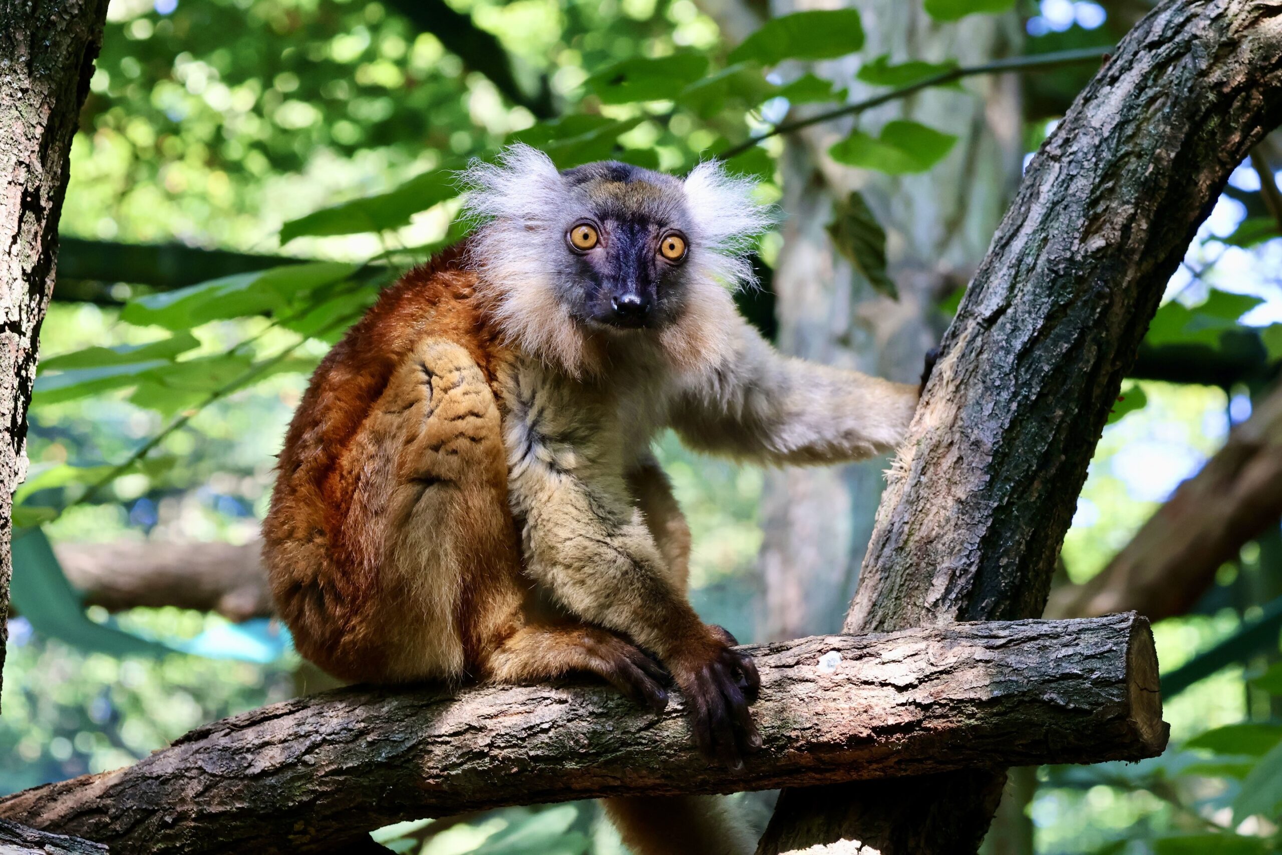 Zoo Eberswalde Tourismus Eberswalde